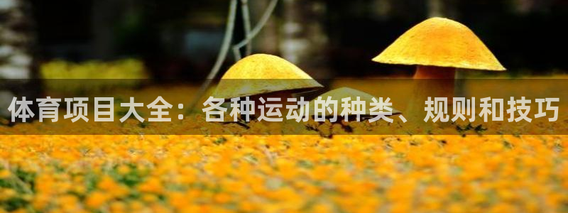 星欧娱乐24小时客服电话