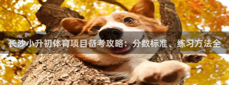 星欧娱乐挂机赚钱
