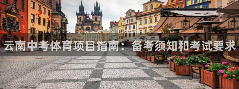 星欧娱乐官方客服联系方式查询