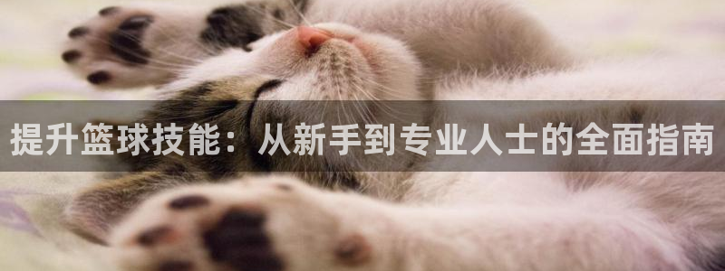 星欧娱乐是正规平台吗安全吗
