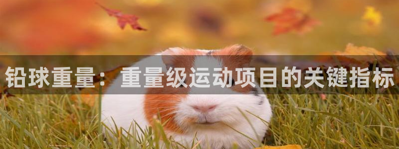 星欧娱乐测速