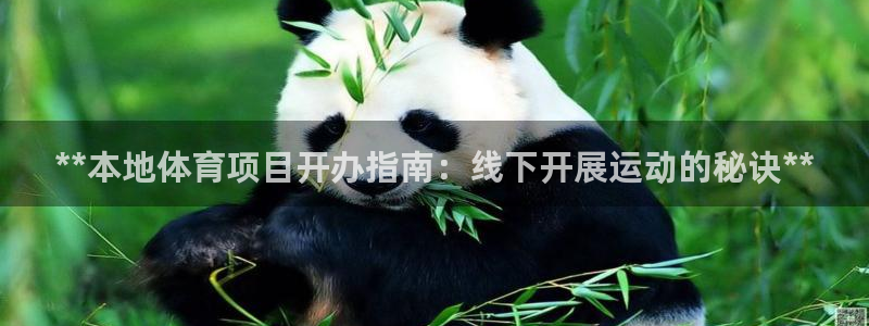 星欧娱乐挂机教程视频
