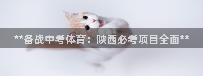 江苏星奥娱乐有限公司招聘