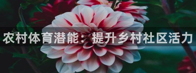 星欧娱乐