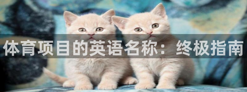 星欧娱乐是正规品牌吗