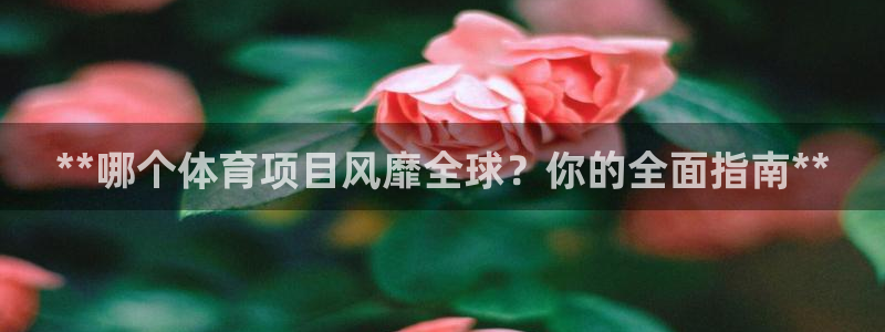星娱乐包月业务是什么