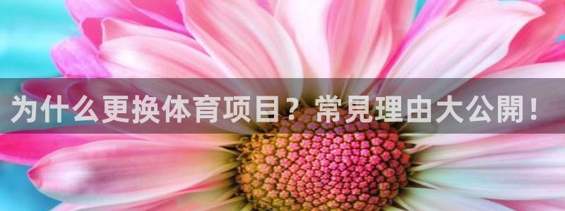 星欧娱乐平台怎么样知乎赚钱吗