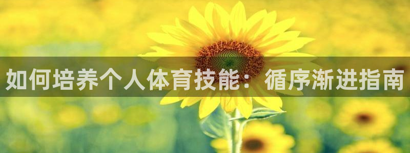 星欧娱乐扣款时间查询方法怎么查不到