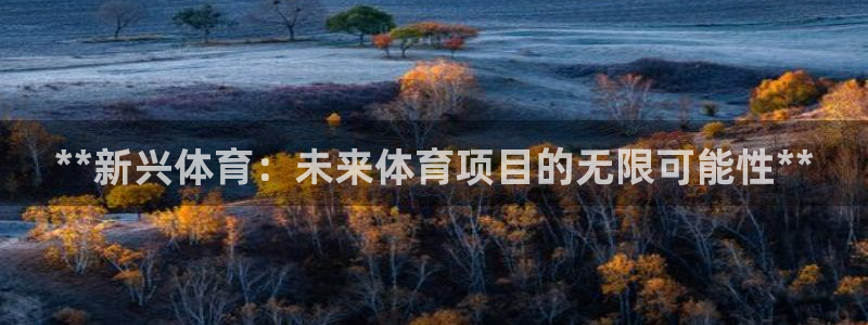 星欧娱乐载711.112使用教程详解