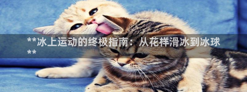 星奥娱乐待遇怎么样