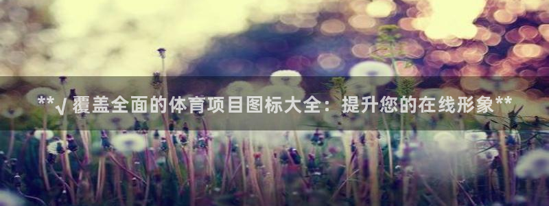 星欧娱乐属于什么档次的网站