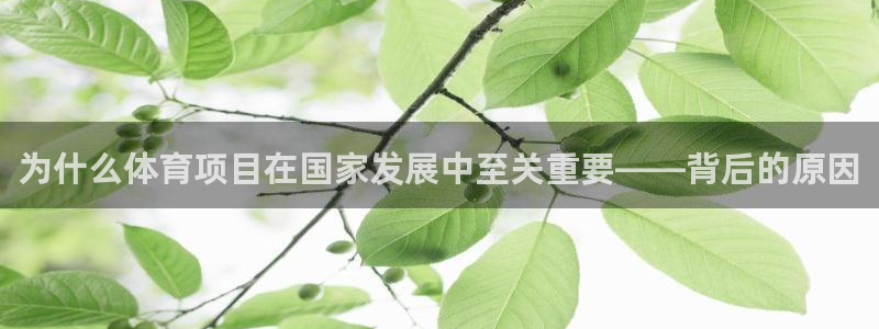 星欧娱乐是正规平台吗可靠吗