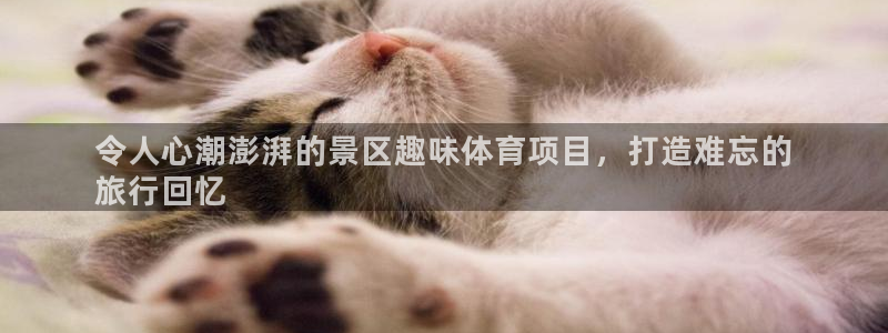 星娱乐是谁的公司