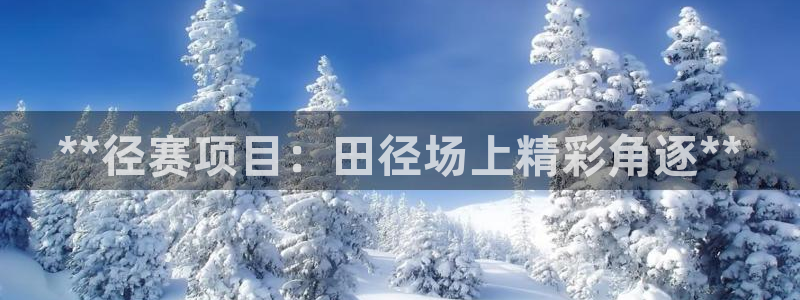 星欧娱乐属于什么档次的公司