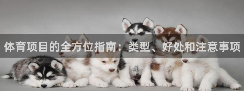 星欧娱乐公司电话号码查询