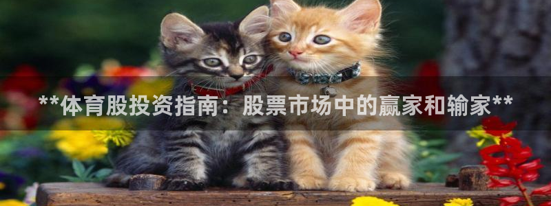 星欧娱乐app最新版本更新内容