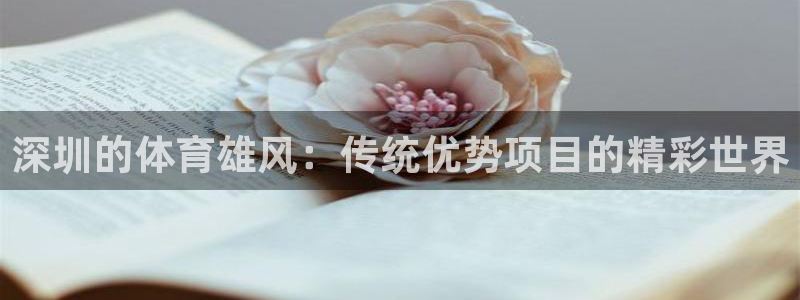 星娱乐online