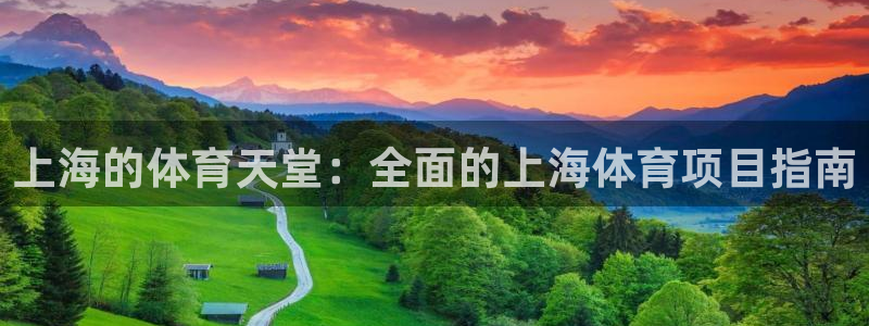 星游娱乐下载地址
