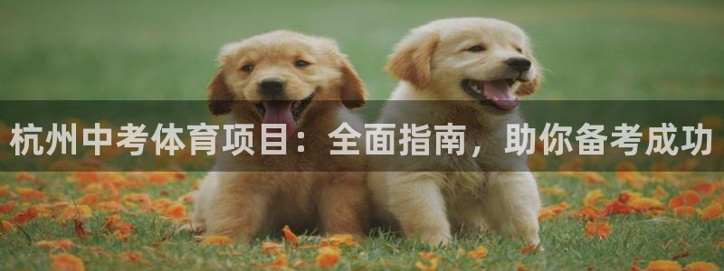 星欧娱乐联和哪个品牌合作