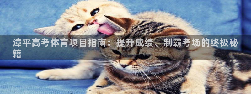 星欧娱乐最建议买的三个产品有哪些内容
