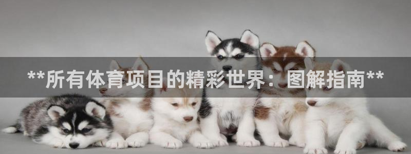 星奥娱乐微博
