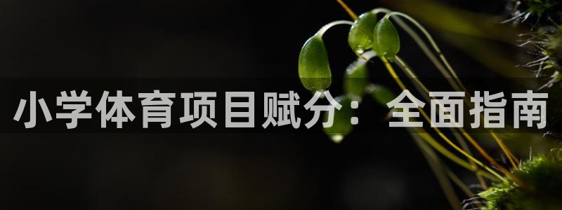 星欧娱乐平台告7O777