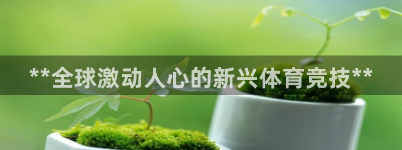 星奥娱乐怎么样