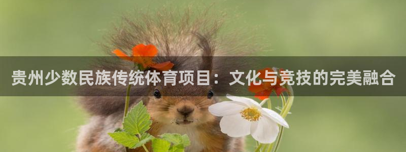 星欧娱乐扣费处理方法