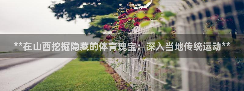 星娱乐online