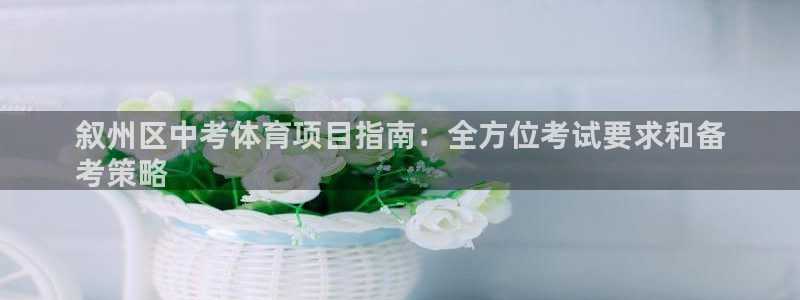 星澳娱乐公司简介