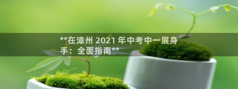 星欧娱乐挂机教程视频