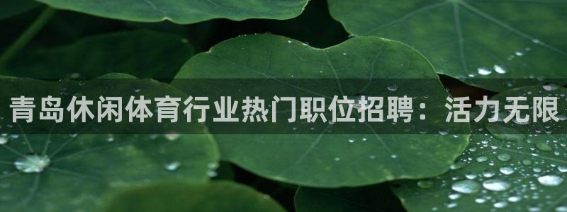 星欧娱乐伐官网注册