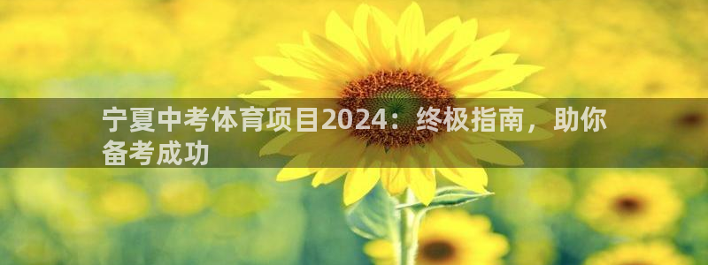 星欧娱乐公司