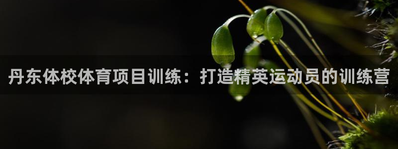 星欧娱乐最建议买的三个产品是