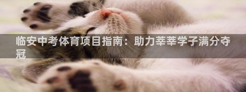 星娱乐彩票网