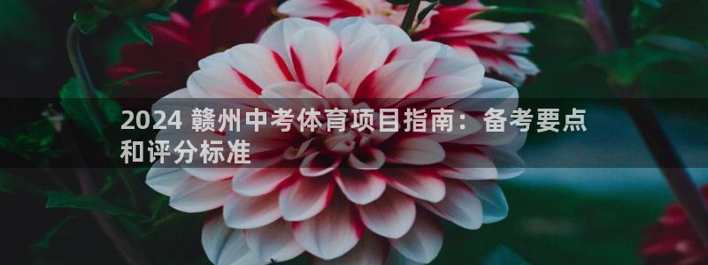 星欧娱乐工711.112怎么没有了