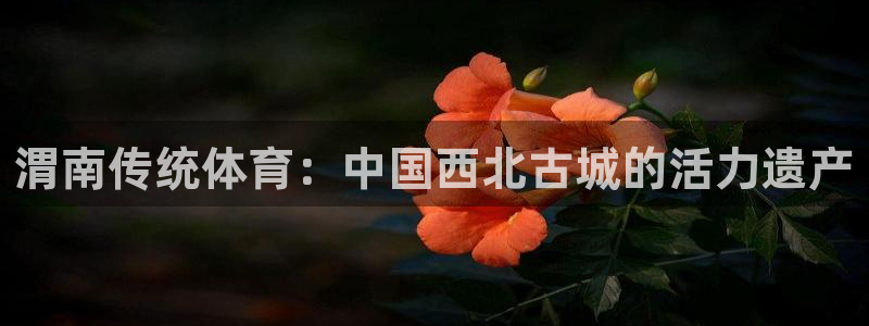 星欧娱乐测速软件下载