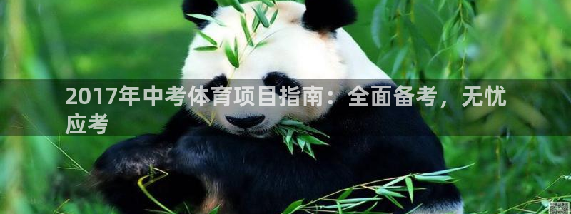 星欧娱乐挂机教程