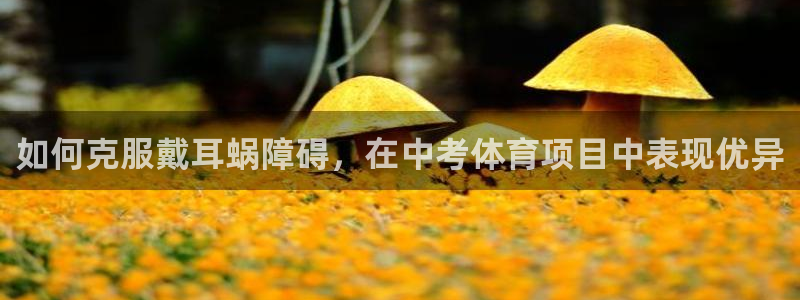 星欧娱乐彩票软件下载