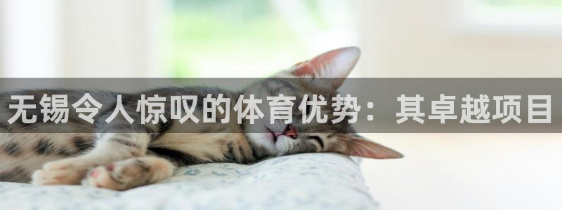 星奥娱乐怎么样知乎