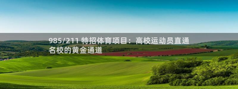 星欧娱乐挂机教程