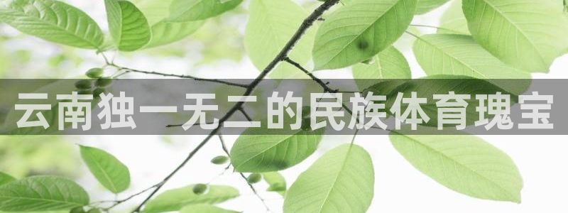 新星娱乐怎么开挂