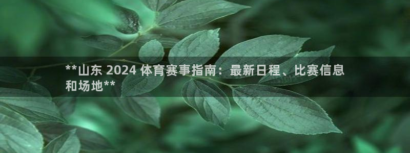 星欧娱乐扣款流程详解图