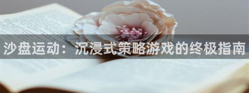 星奥娱乐待遇怎么样