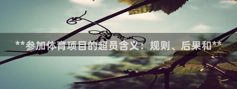 星欧娱乐彩票软件下载