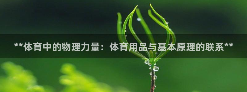 星欧娱乐app最新版本更新内容