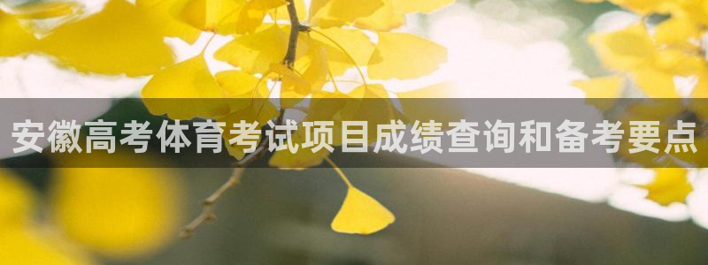 星欧娱乐平台测速线路设置