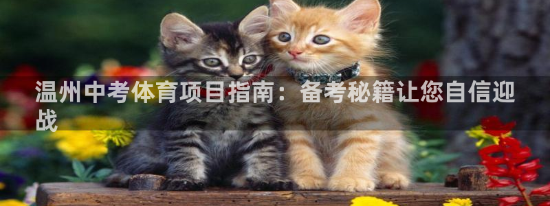 星澳娱乐公司