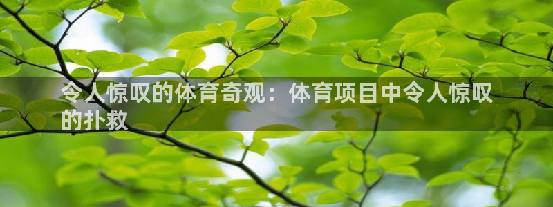 星欧娱乐app最新版本更新内容是什么