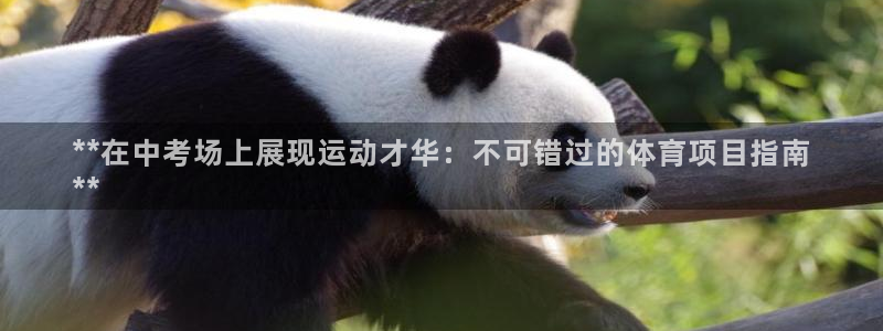 星欧娱乐app最新版本更新内容下载